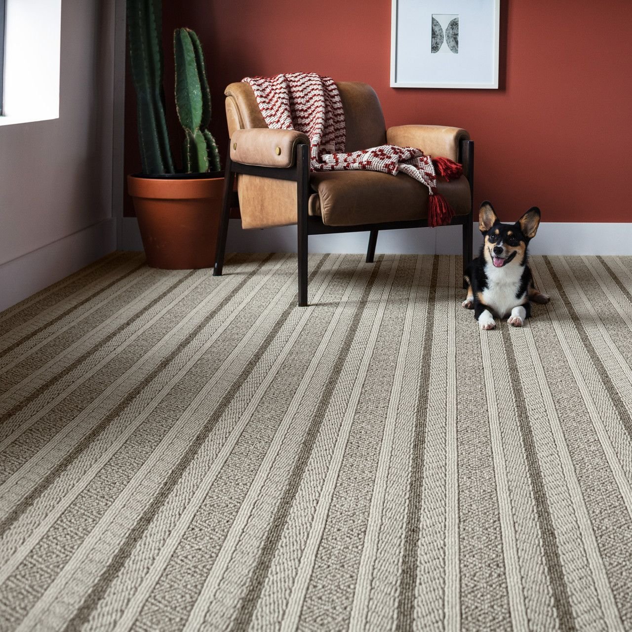 Anderson Tuftex Preview Carpet from Gerami's Floors in Lafayette
